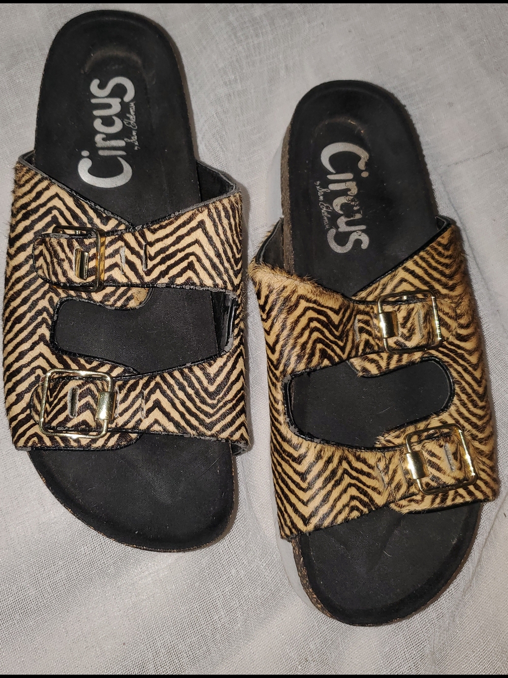 Circus SZ 8 by Sam Edelman Women's Zebra Print Buckle Slide Sandals in Tan/Black